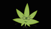 greenbrothers cannabis maconha greenbrothers GIF