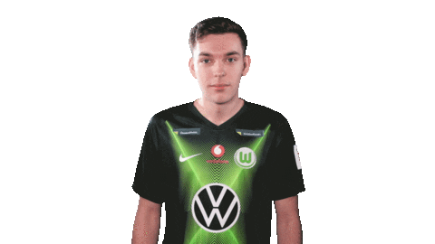 E Sports Sport Sticker by VfL Wolfsburg