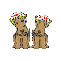 Welsh Terrier Sticker