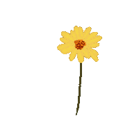 rhythmkashyap love summer flower sun Sticker