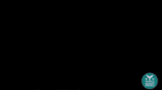 GIF by Shorty Awards