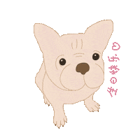 Wonderxskincare Sticker