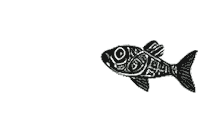 Illustration Ocean Sticker by White Room Estudio