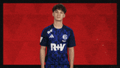 Schalke 04 Hello GIF by Bundesliga