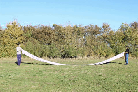 ooh0 #mushroomsilence GIF