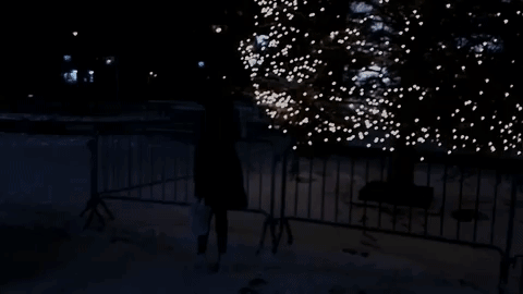 irlcam GIF by Danny Chang