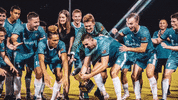 lionsbridgefc lbfc lionsbridge fc lionsbridge GIF
