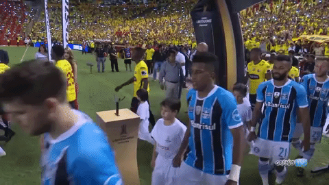 football soccer GIF by Grêmio