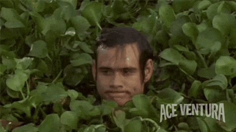 dustuncan giphyupload GIF