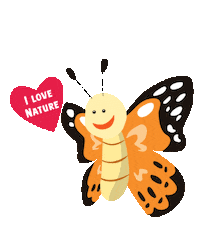 Butterfly Pollinator Sticker by Insect Lore