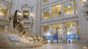 reading rainbow lol GIF by LeVar Burton Kids