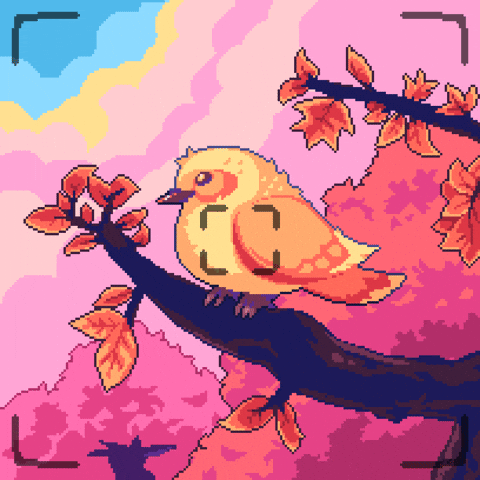SALVGAETUNA giphyupload bird pixel art autumn GIF