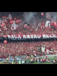Torcida Do Flamengo GIF