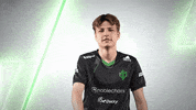 Point Esports GIF by Sprout