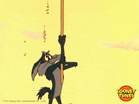 Wile E Coyote Omg GIF by Looney Tunes