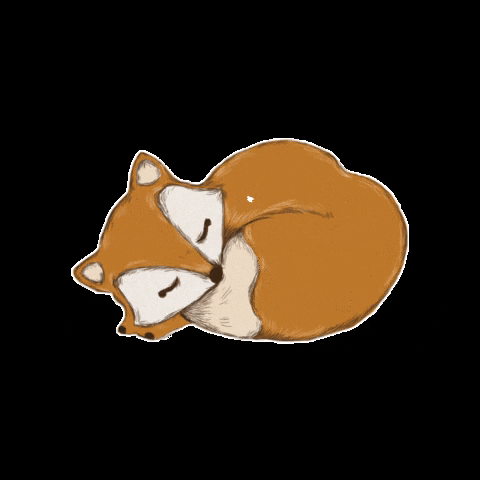 KarolinaWesolowska fox littlelights sleepyfox GIF