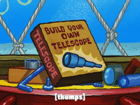 season 6 gullible pants GIF by SpongeBob SquarePants