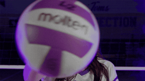 St Thomas Tommies GIF by Tommie Athletics