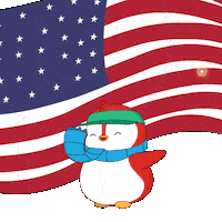 United States Usa Sticker by Pudgy Penguins