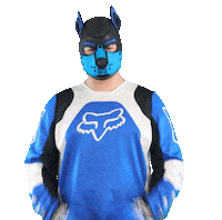 Blue Fox Sticker