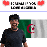 Algeria Flag Sticker
