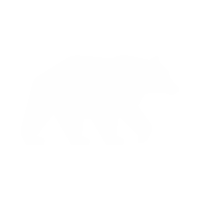 Usa Bear Sticker by CANUSA