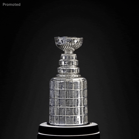 National Hockey League GIF by RightNow