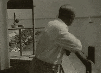 Turn Around Film GIF