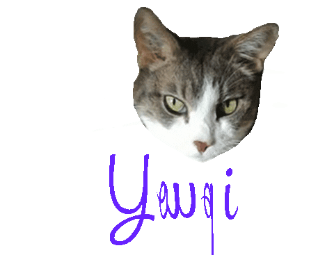 Cat Sticker