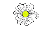 Beauty Flower Sticker