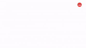 Dogs Fountain GIF by BuzzFeed