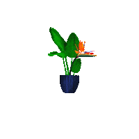 Flower Bird Sticker by Neverland