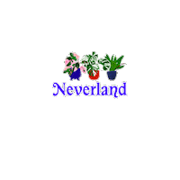 Monstera Houseplant Sticker by Neverland