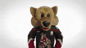 Arizona Coyotes Idk GIF by NHL