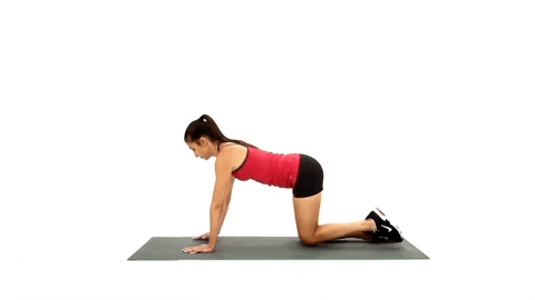 top10pulse giphyupload fitness workout bird dog GIF
