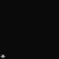 Happy Virat Kohli GIF by TheWrognTribe
