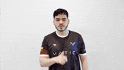 vatic_gg mobile esports quiet shh GIF