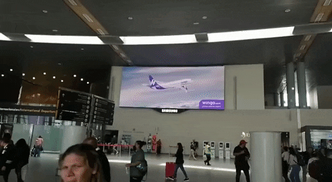 GIF by Wingo