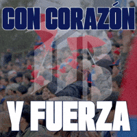 Elbancodelrugby GIF by Banco de  Chile