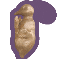 Acc Pato Sticker by Andares Centro Comercial