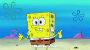 season 10 episode 6 GIF by SpongeBob SquarePants