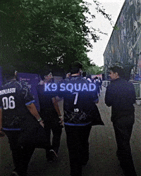 Proc GIF