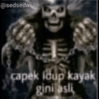 Sedseda GIF