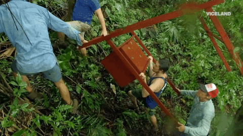 giphyupload viceland jungletown giphyjungletown108 GIF