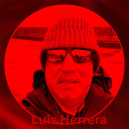 luisherrerarw giphygifmaker GIF