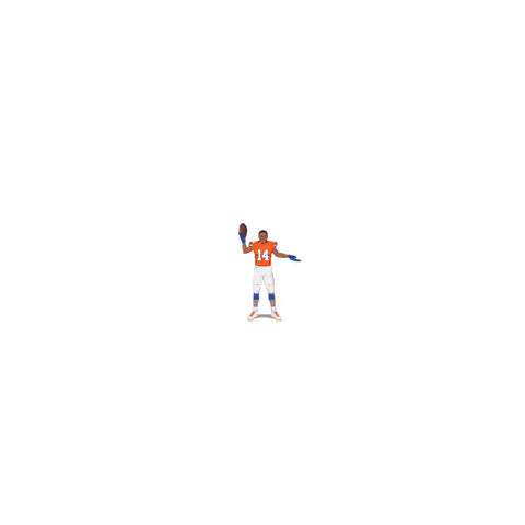 Denver Broncos Football GIF by SportsManias