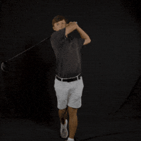 Fort Wayne Golf GIF by Purdue Fort Wayne Athletics