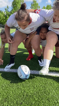 LesLionnesduStadeBordelais les lionnes GIF