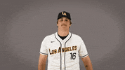 Cal State La Baseball GIF by Cal State LA Golden Eagles