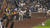 Major League Baseball Win GIF by MLB